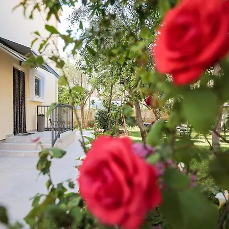 Shady Garden Апартаменты