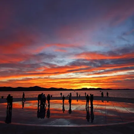 דירה Shady Garden